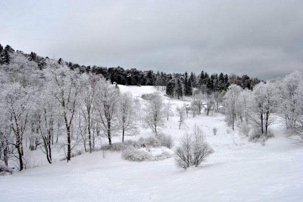 Toila park